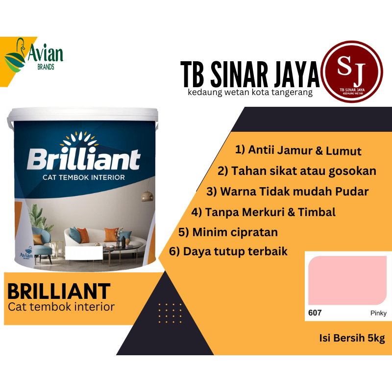 Brilliant Cat Tembok Interior Tembok Rumah Isi 5kg - 607 Pinky