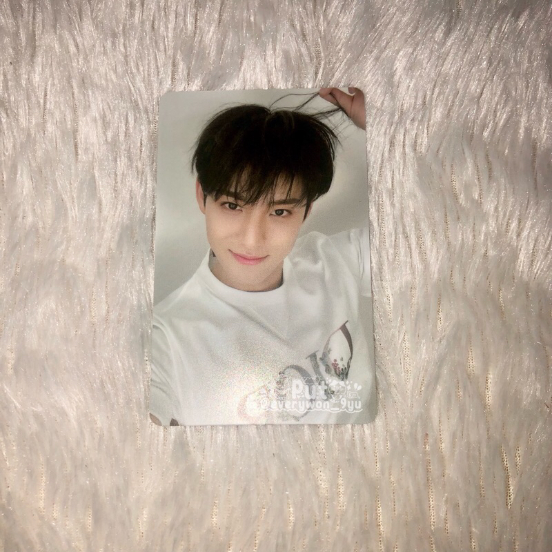 Mingyu Dior Gyutena Dior Gyudior LD M2U Round 1 R1 Your Choice