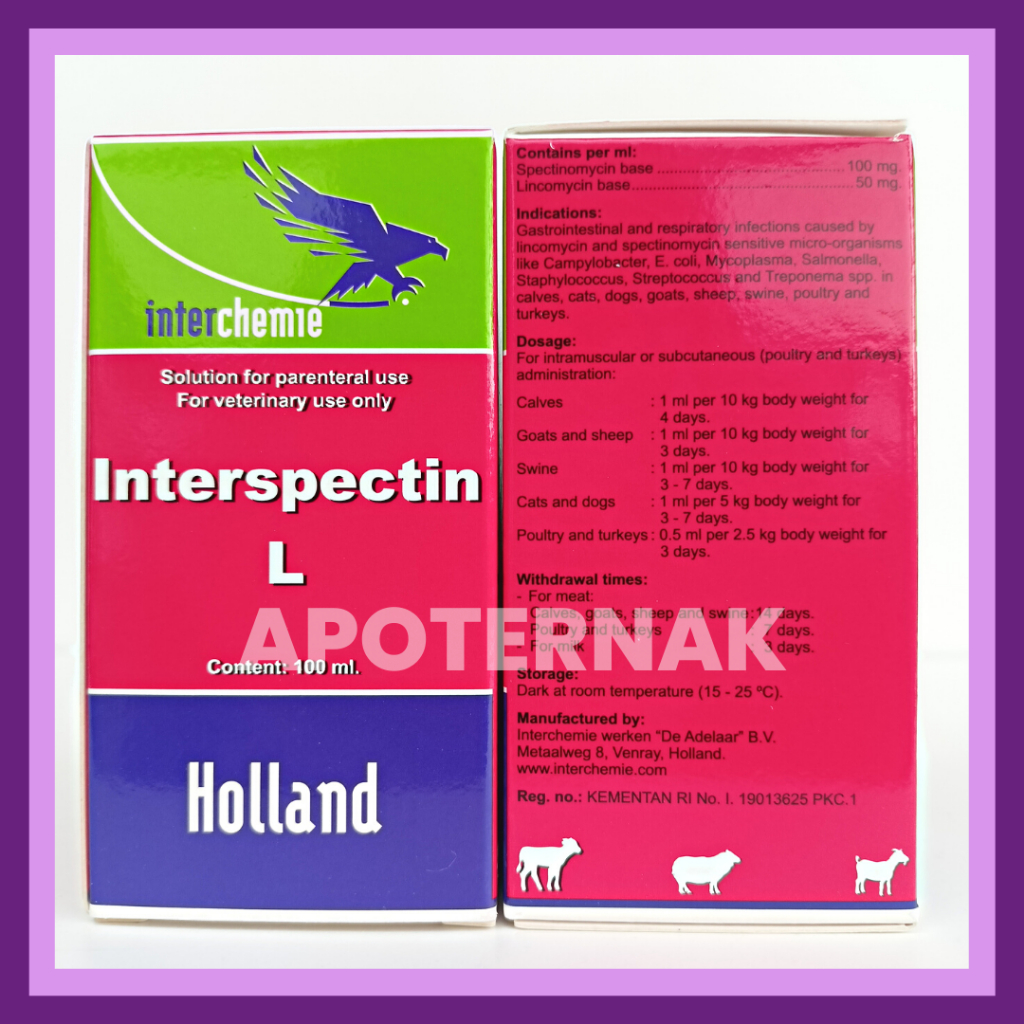 INTERSPECTIN L 100 ml | Injeksi Spectolin Spektolin | Like LS Injection &amp; Pantex Spectolin