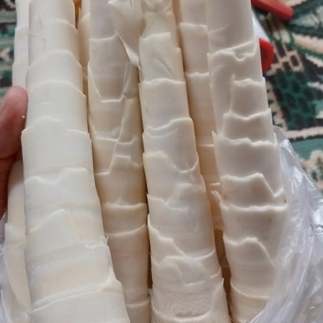 Rebung Bamboo Shoots Bambu Cina Rebung Bambu Jepang