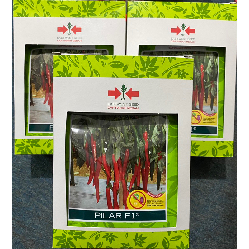 Bibit Cabe Besar PILAR F1 Panah Merah
