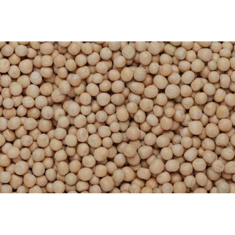 

500gr kacang atom satelit palapa kacang oven