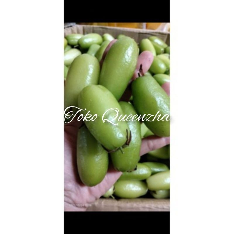 

belimbing sayur wuluh 200 gram fresh segar dipetik ketika ada orderan masuk