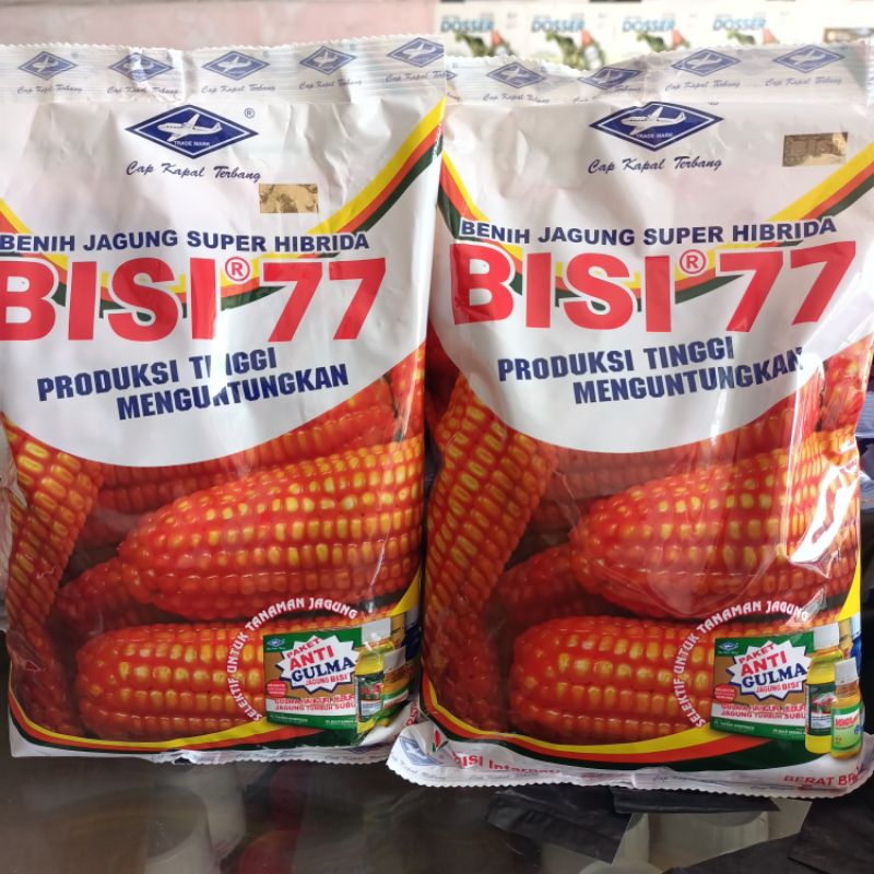 BENIH JAGUNG BISI 77 1KG