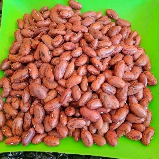 

KACANG MERAH | KACANG RENDANG | KACANG BUAT SOP | KACANG JOGO BERAT 1 kilogram