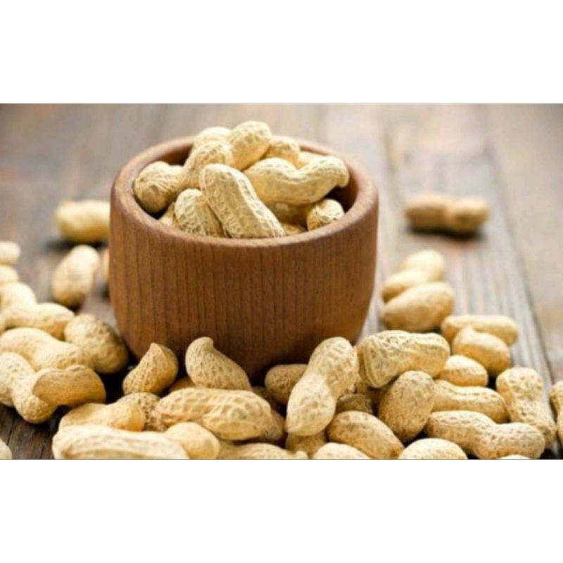 

Kacang Kulit Oven 250 gr / Cemilan kacang kulit ori