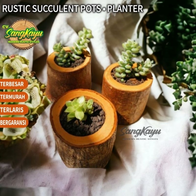 Natural wood log planters succulent pot vas bunga kayu kaktus2