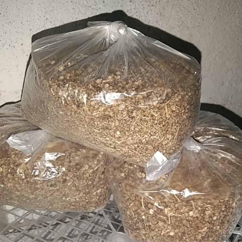 

PENGGANTI NASI,TIWULDARIGAPLEKSINGKONG