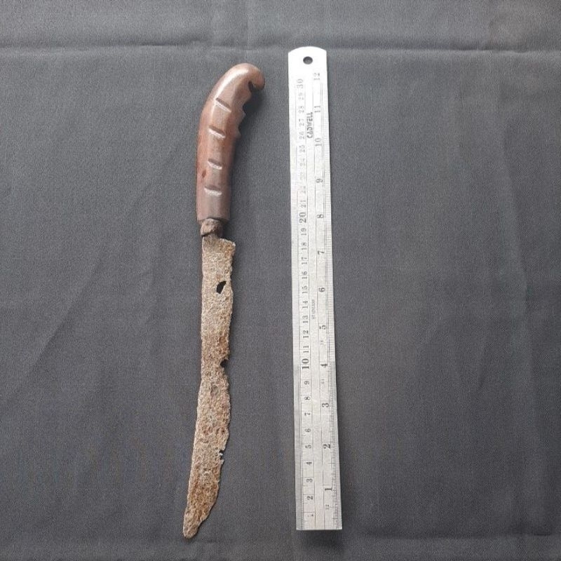 Wedung Temuan Brantas