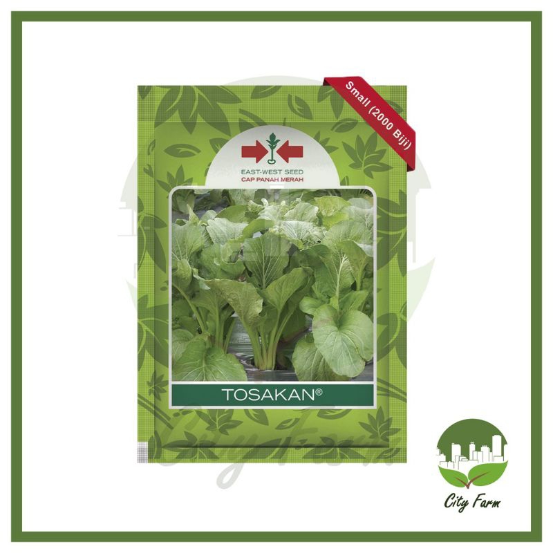 BENIH SAWI CAISIN TOSAKAN