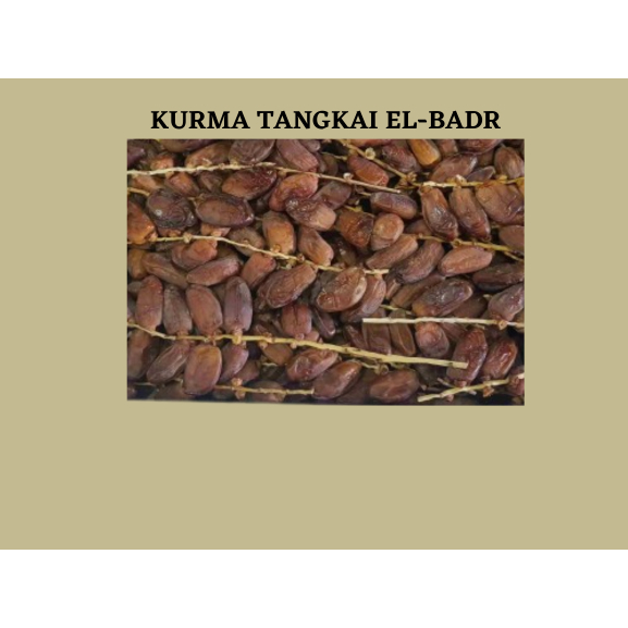 

KURMA TANGKAI EL-BADR 1 DUS