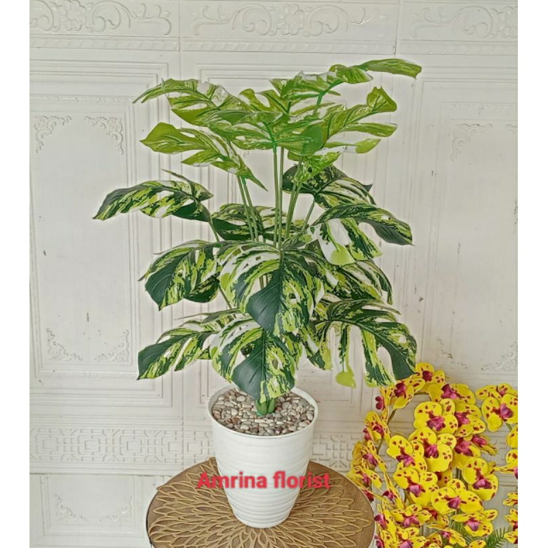 tanaman hias monstera hijau artificial pot tawon besar