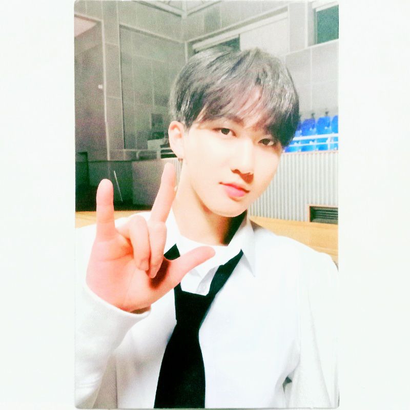 Stray Kids StrayKids SKZ GO Live Album Photocard PC Changbin Member Pose Mempos