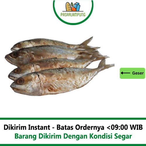 Ikan Asin Peda 250 Gr Pasar Lampung