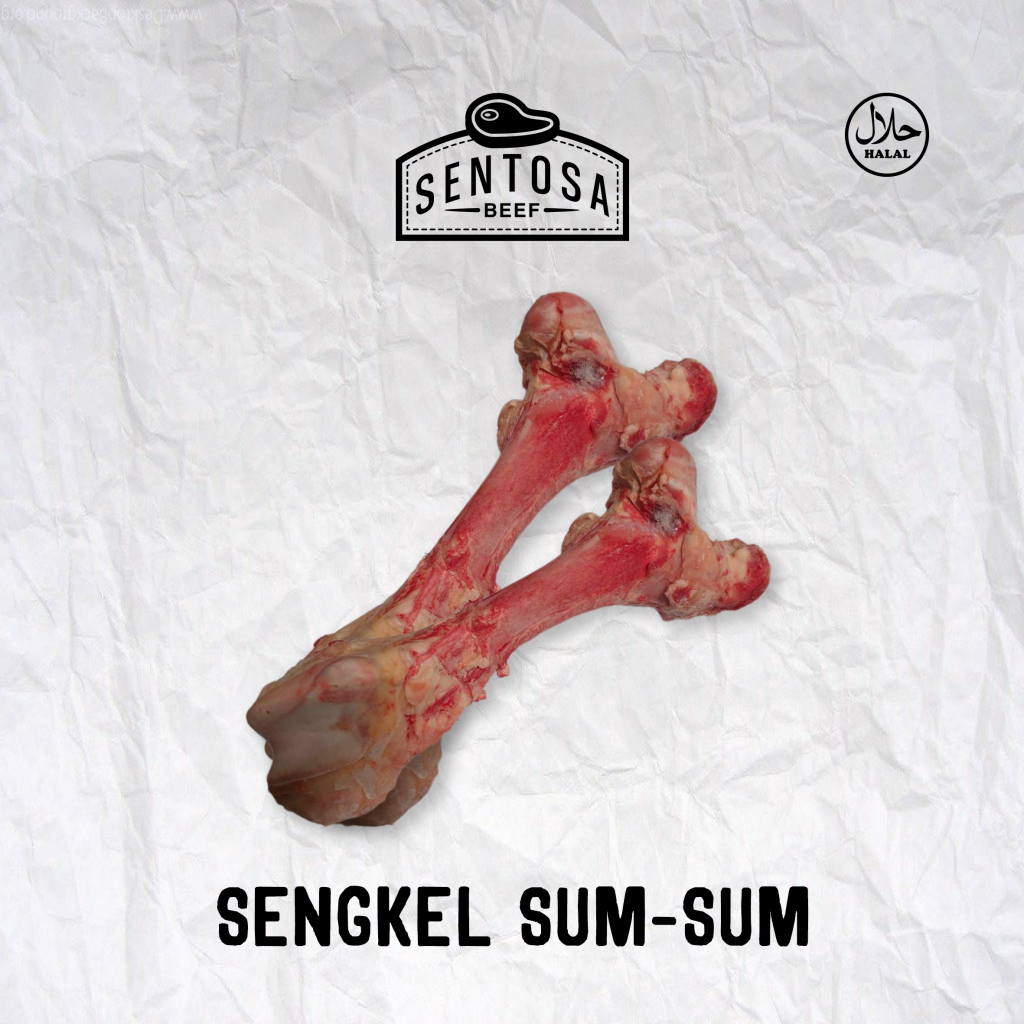 

sengkel sumsum