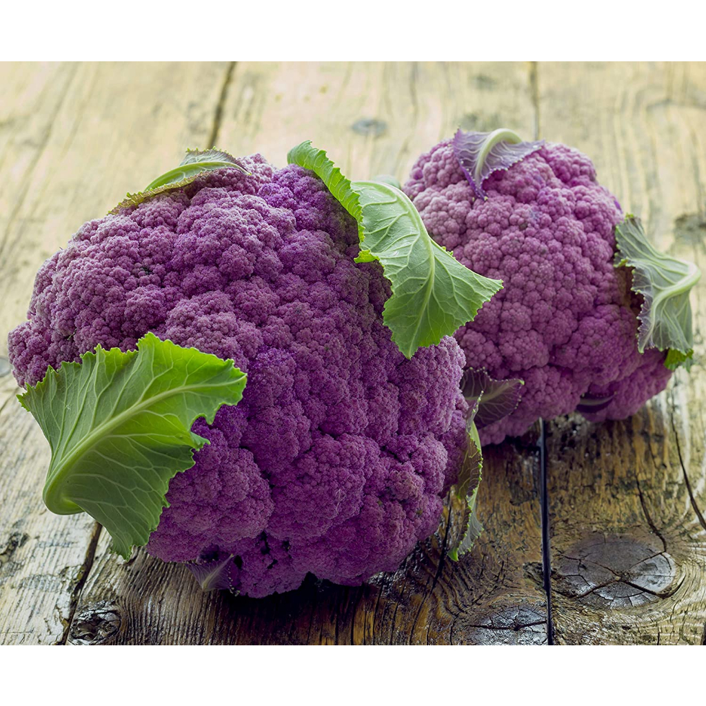 Benih Bibit Biji - Cauliflower Di Sicilia Violetto Bunga Kembang Kol Ungu Italian Purple Cauliflower Seeds - IMPORT