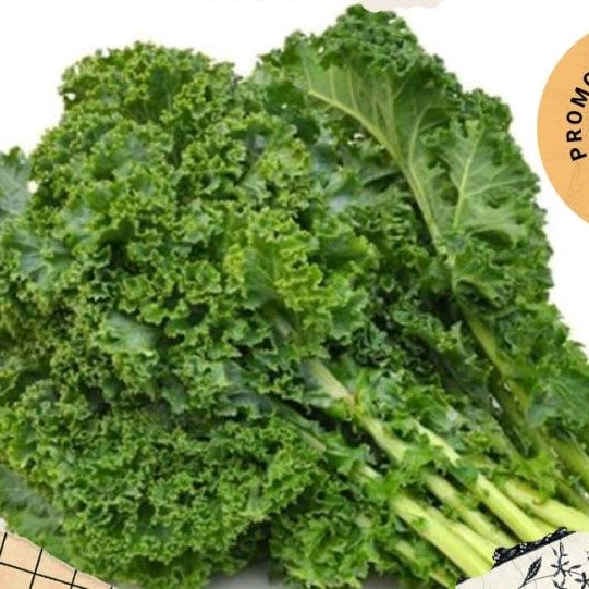 

KALE CURLY 200GR (Organik)