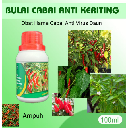 ❖SHOPPING RAYA NOW❖Bulai Cabe merah merona pupuk bulai cabai pembasmi hama obat keriting anti virus 