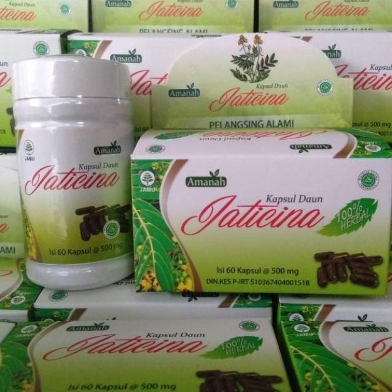 pelangsing kapsul daun teh jati cina