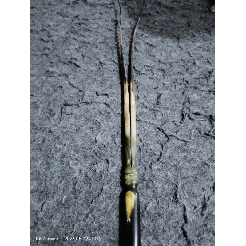 Gapit Gatutkoco Lamus Kekuningan Bahan Sungu Terbatas...