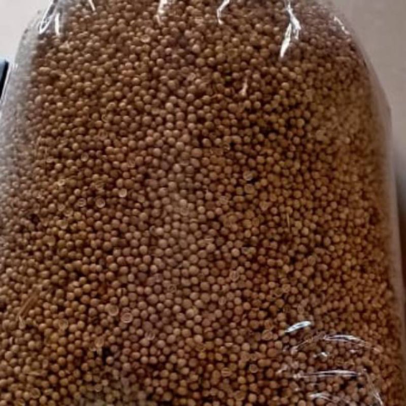 

ketumbar 1kg bulat super !!