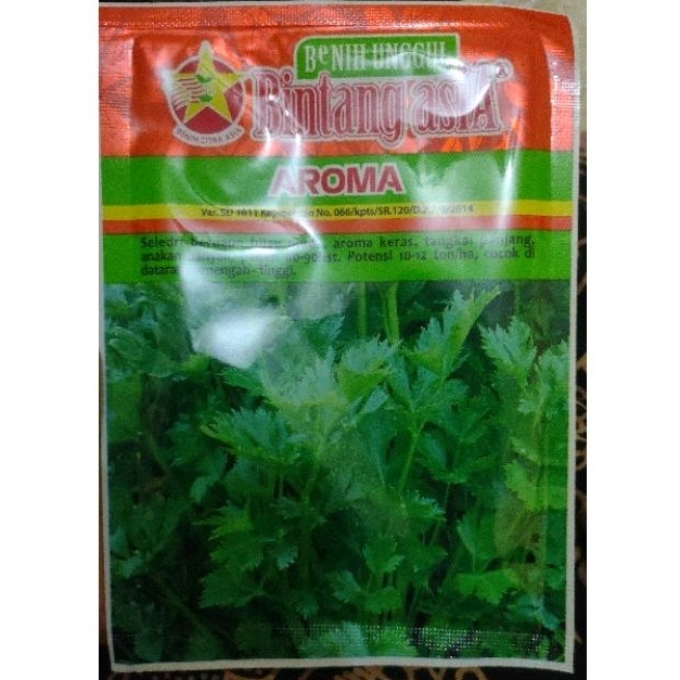 Benih Seledri Aroma 20 gram Bintang Asia