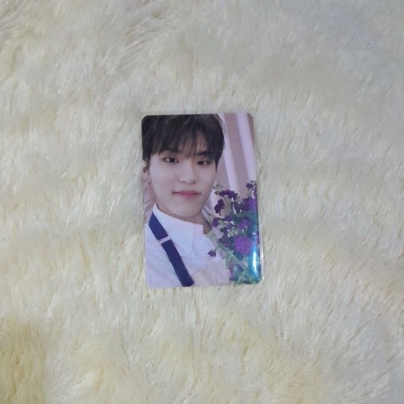 pc pob wv blooming jeongwoo