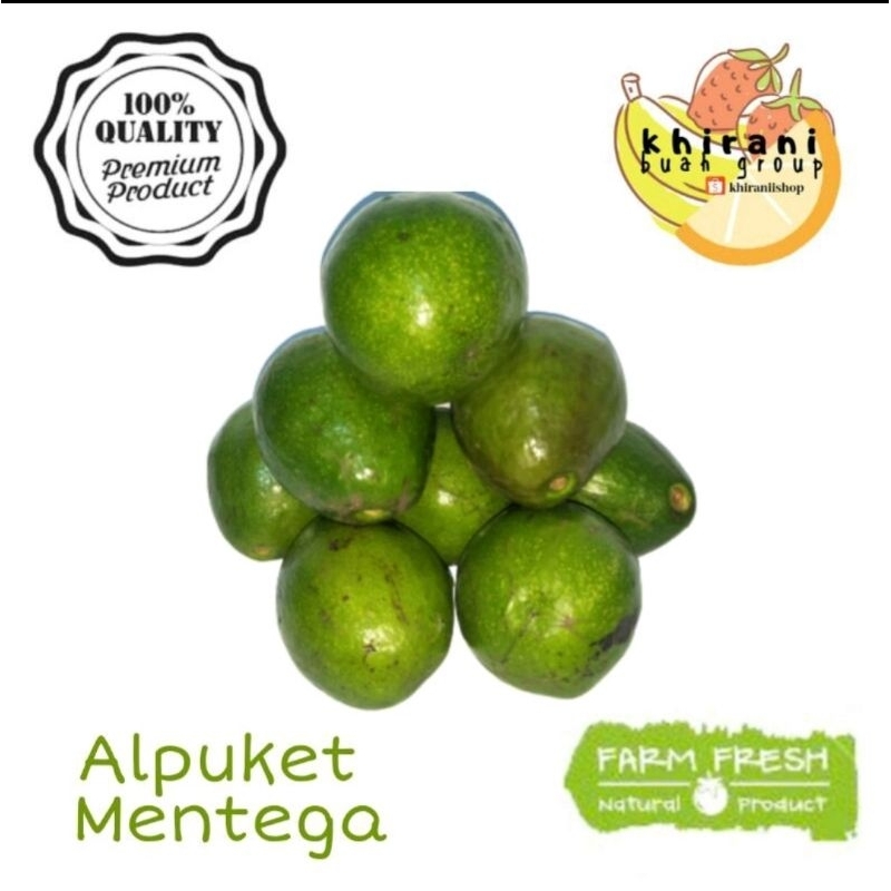 

ALPUKET MENTEGA