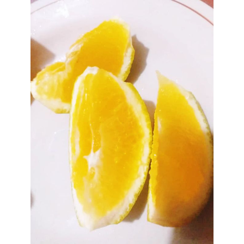 

jeruk baby manis fresh 1kg