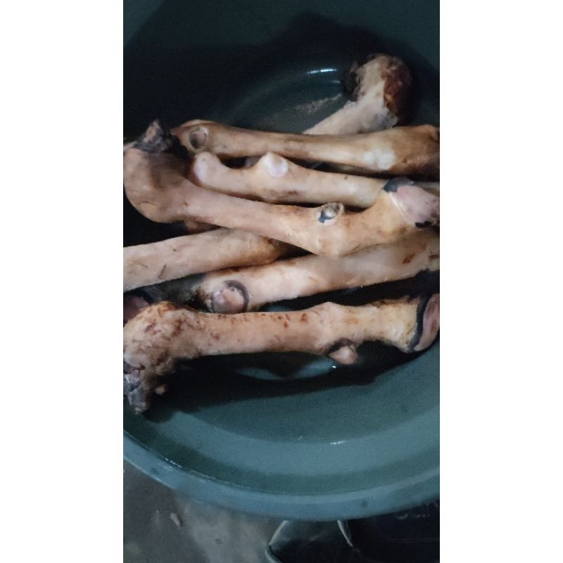 kikil kambing fresh segar