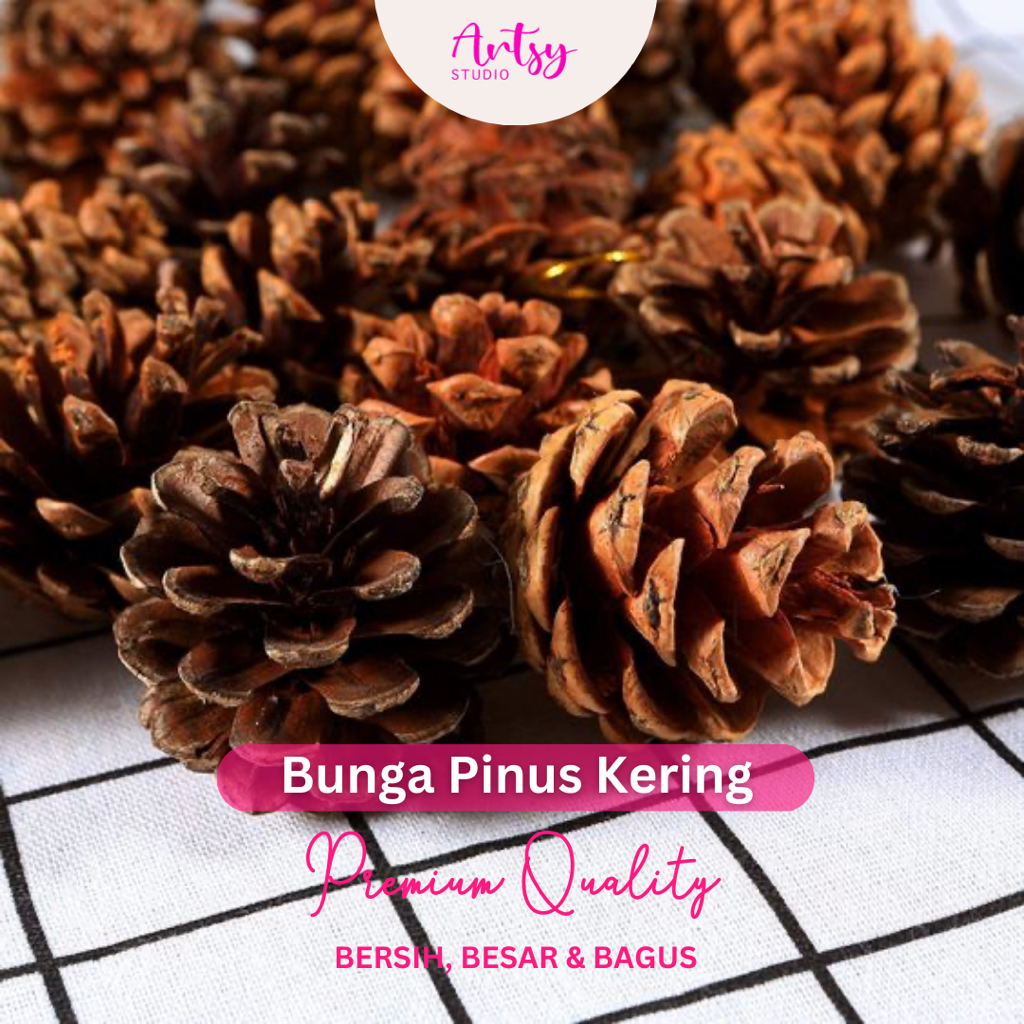 ARTSY STUDIO Bunga Pinus Kering Buah Pinus Pine Cone Properti Foto Mahar Rustic Dekorasi Rustik