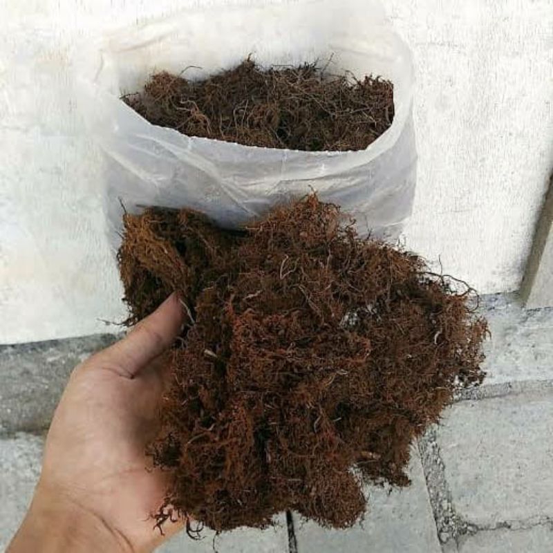 

promo Akar Kadaka/Moss Hitam Media tanam anggrek 1kg murah mugi laris