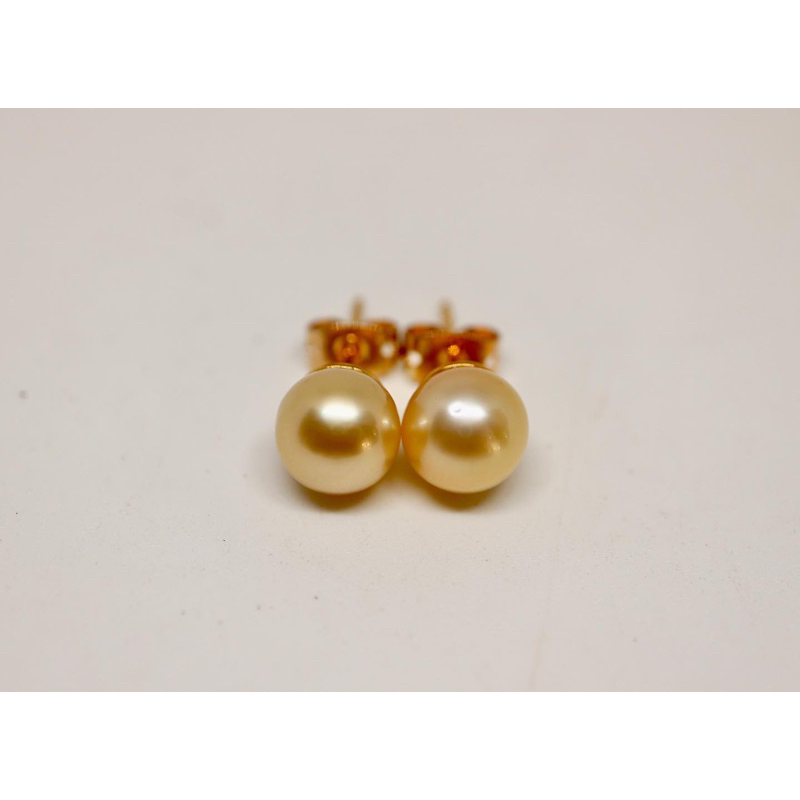 PROMO BERSERTIFIKAT GIWANG MUTIARA LAUT ASLI BERSERTIFIKAT GRADE A