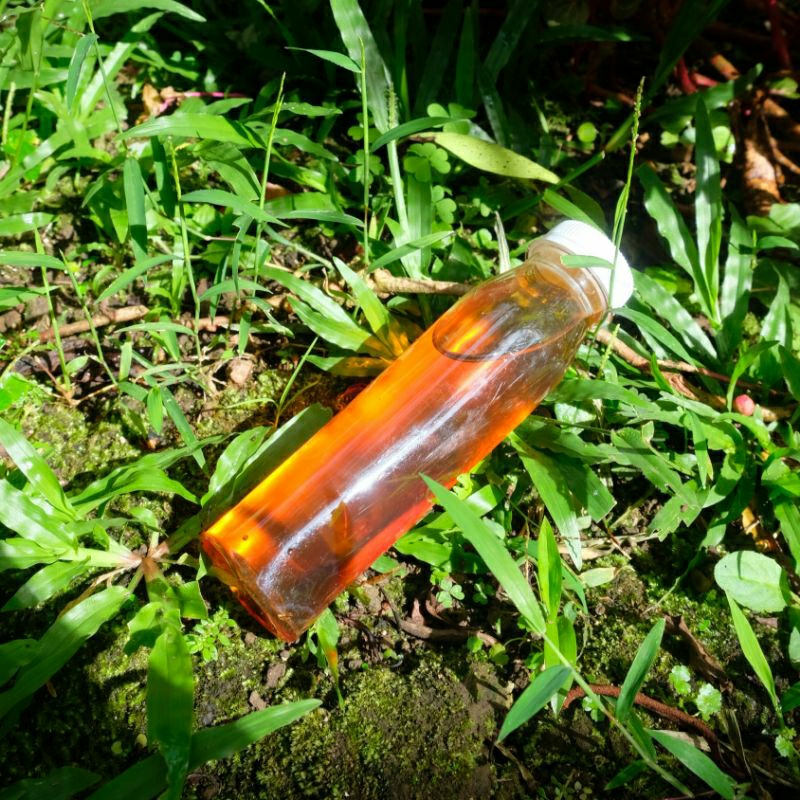 

Madu Nyiruan Asli 100ml