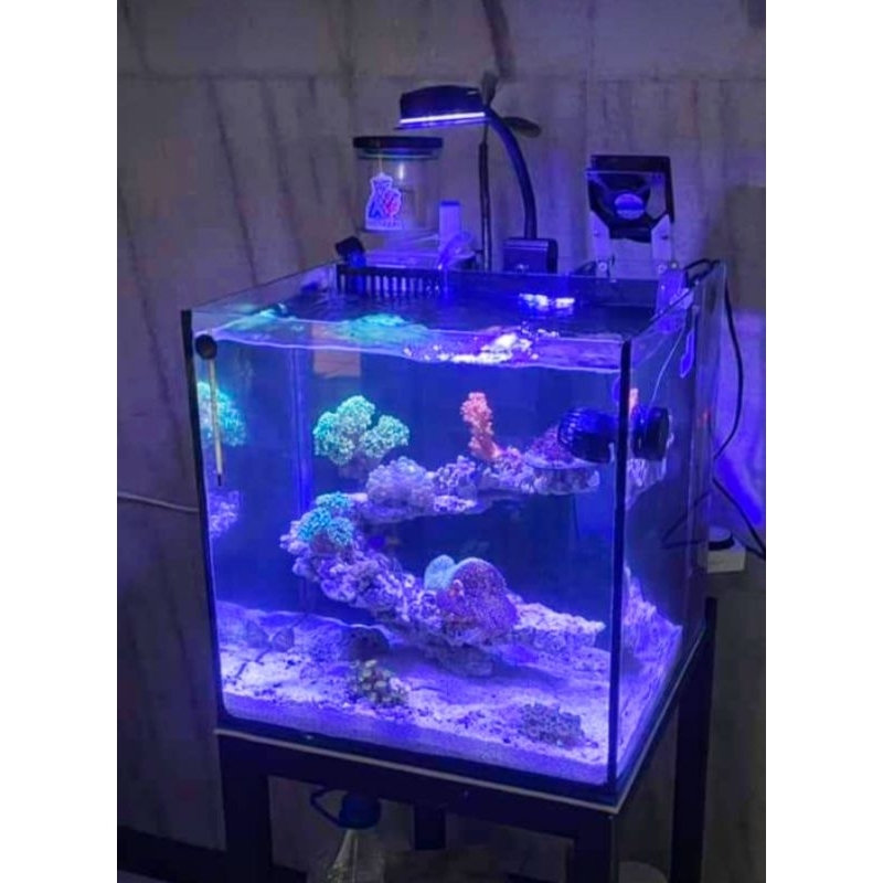 Protein Skimmer DIY nano LAReefugium