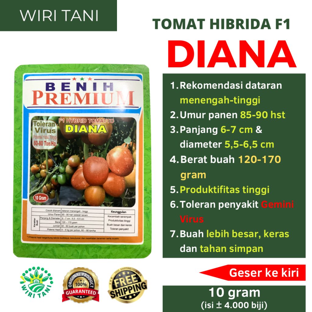 [COD] Benih Tomat Buah Hibrida F1 DIANA Toleran Virus 10 gram ( ± 3.500 Biji) | Tomat Dataran Tinggi