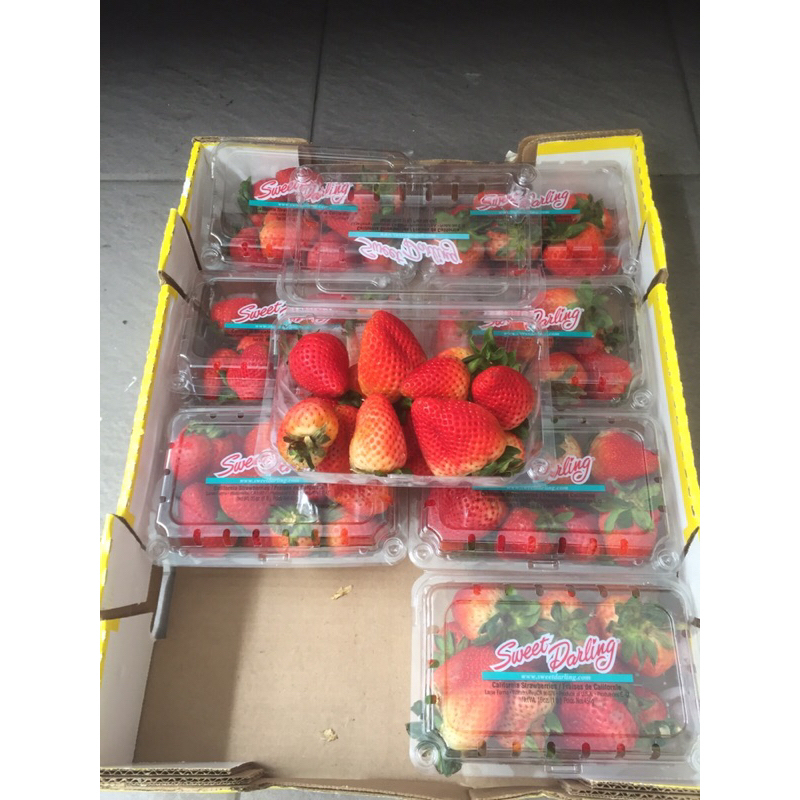 

Buah Strawberry Sweet Darling USA 1 Dus (Isi : 8 Pack) Fresh Import