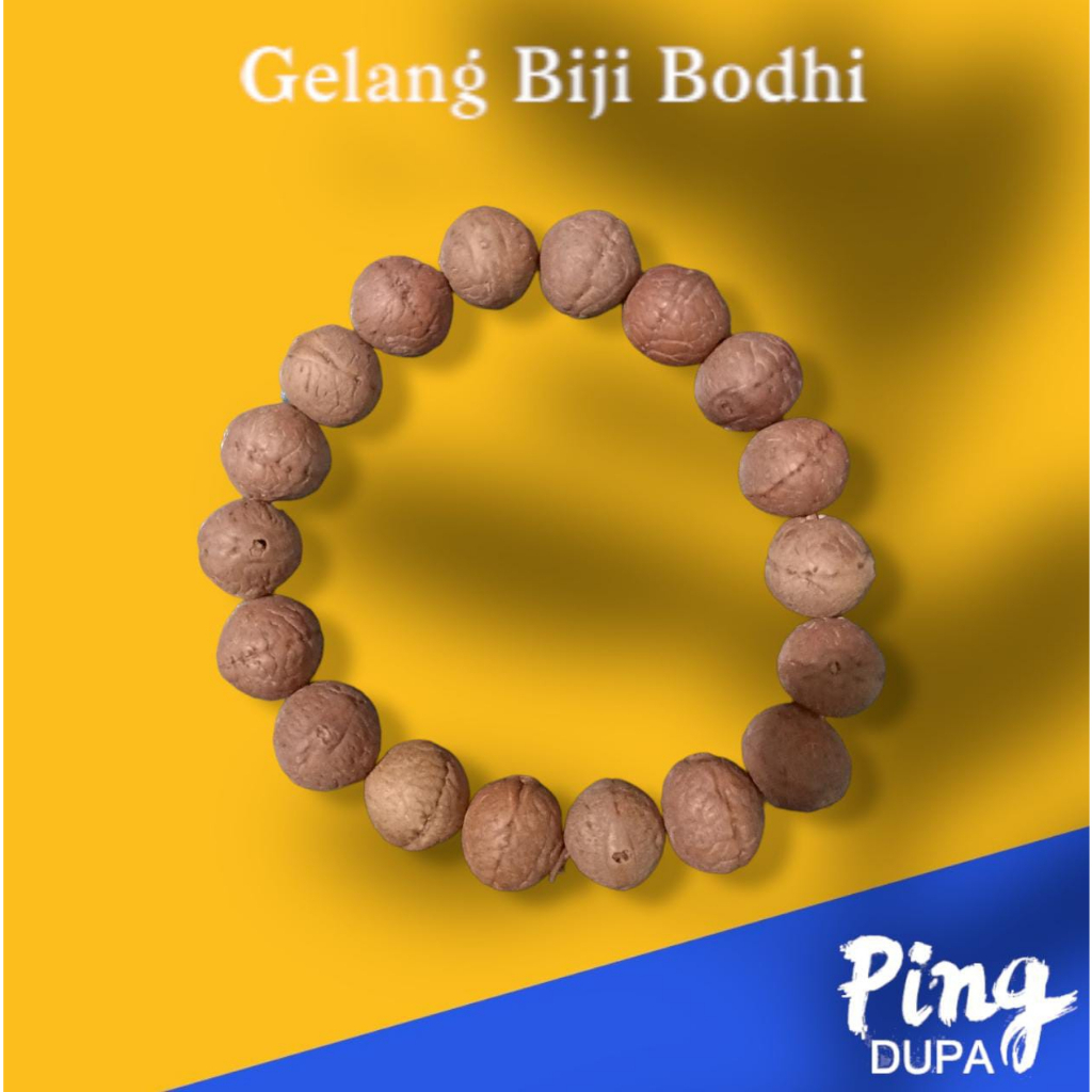 Gelang Bodhi Mala Asli Biji Bodhisatva dari Nepal