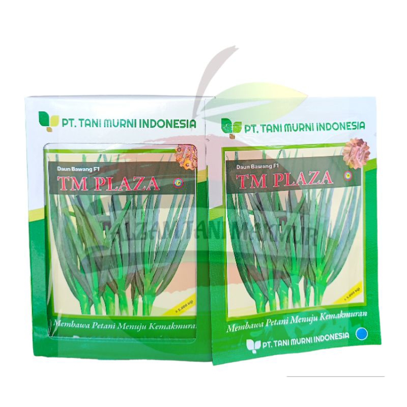 Benih Bawang Daun TM PLAZA isi 5.000 Biji TANI MURNI