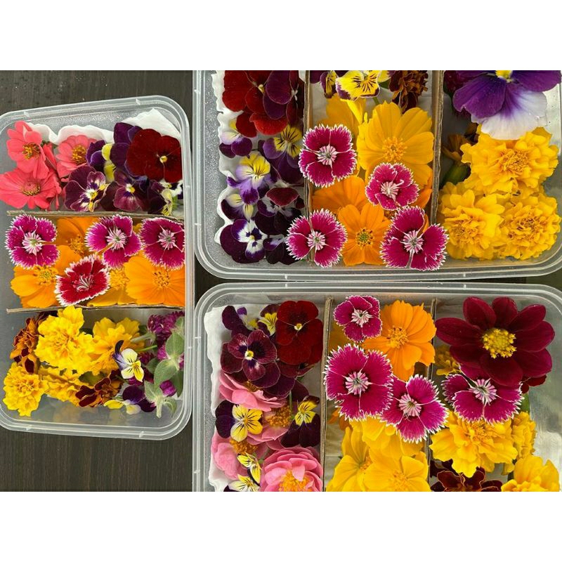 

Edible Flower Mix Organik