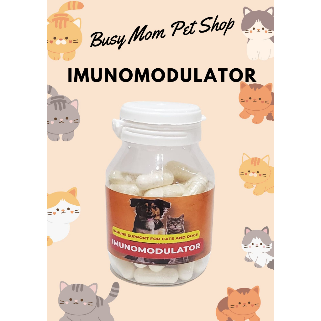 ECERAN per BUTIR Imun Modulator Support Cat Dog Imunmodulator Imunitas Vitamin Imun Kucing Anjing Anti Stress Anti Virus Non Immune