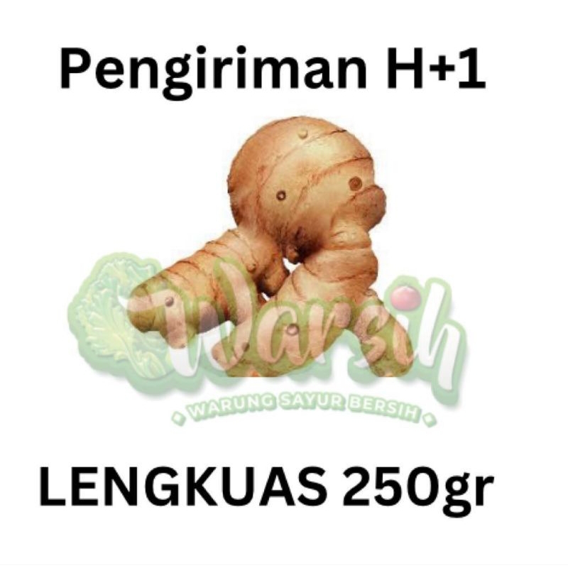 

WARSIH • LENGKUAS 250GR