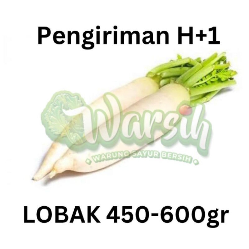 

WARSIH • LOBAK 400-600GR