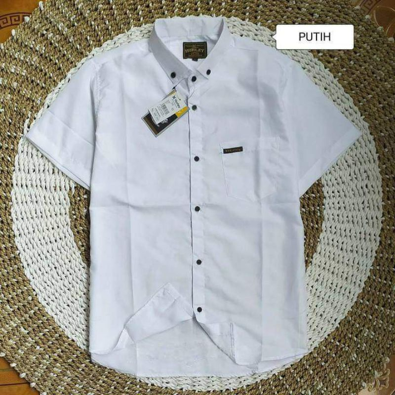 Kameja Atasan Kemeja Kerja Polos Pria Lengan Pendek Cowo Dewasa Formal Katun Oxford Premium