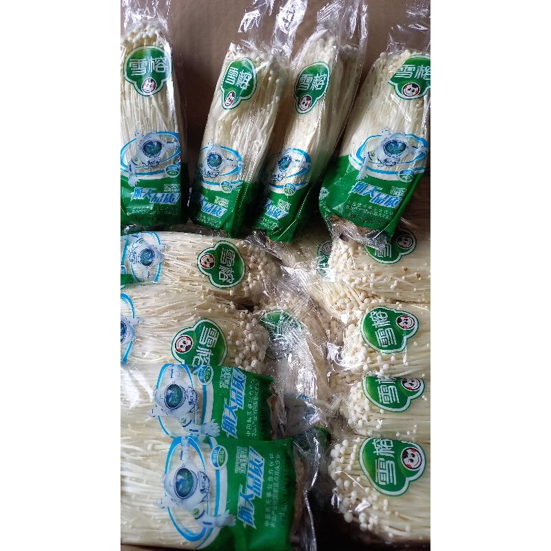 

jamur enoki