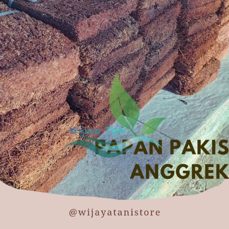 Papan Pakis Media Tanam Anggrek | Pakis Tempel Anggrek