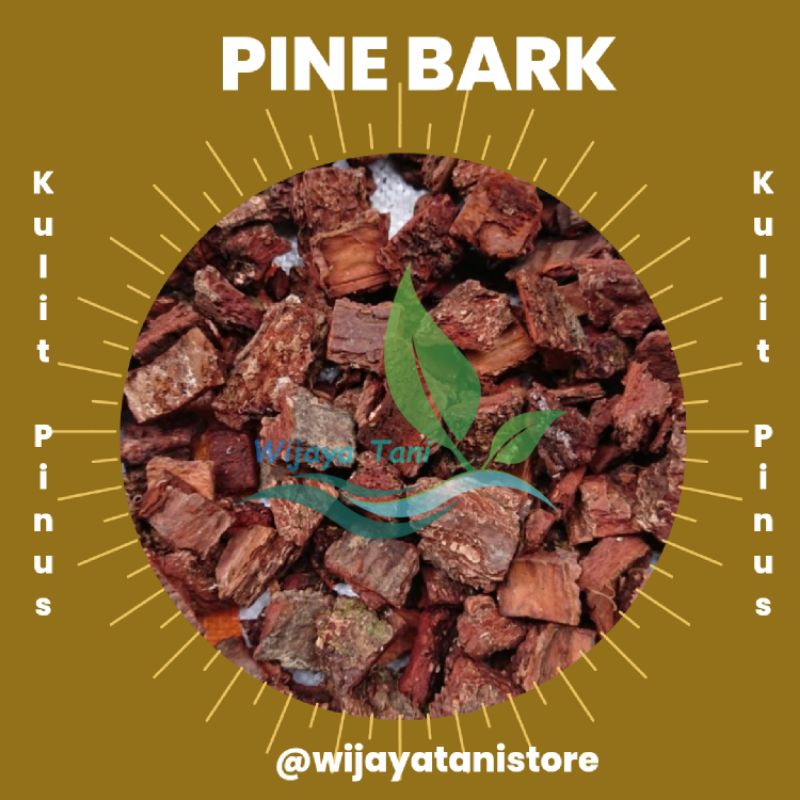 Pine Bark Kulit Pinus Cacah | Media Tanam Anggrek Kulit Pinus