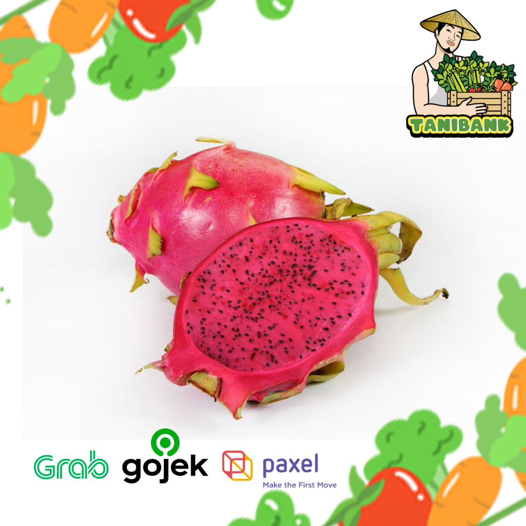 

BUAH NAGA MERAH-BUAH NAGA SEGAR-1KG