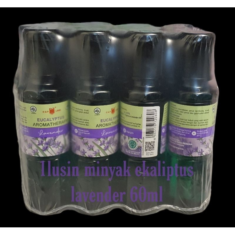 1lusin minyak kayu putih ekaliptus lavender 60ml