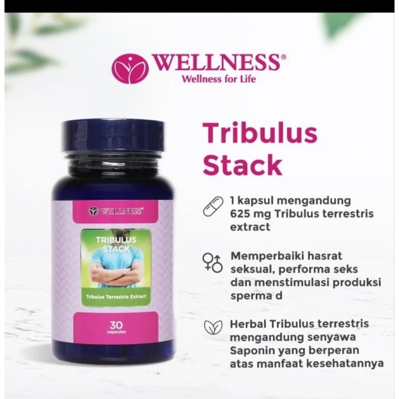 WELLNESS tribulus stack meningkatkan testosteron gairah seksualitas